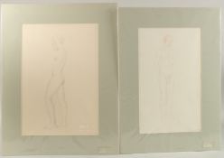 GEORGE WEISSBORT (1928 - 2013). Two standing nudes, male and female. Unframed, pencil. Signed and