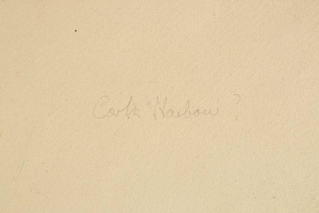 19th Century Irish School, An extensive landscape with water, inscription verso Cork ......., - Image 3 of 3