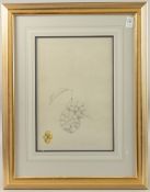 DAVID ORD KERR. A study of grapes, pencil and watercolour. Signed with initials and dated 1978. 13.
