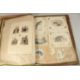 A LARGE VICTORIAN PICTURE BOOK. 21" x 8" (53 x 46cms). - Image 7 of 14