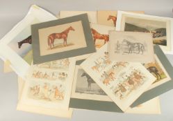 A FOLDER OF VARIOUS SPORTING COLOUR PRINTS, Famous Racehorses (28).
