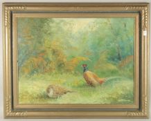 20TH CENTURY ENGLISH SCHOOL. A study of two pheasants in a woodland clearing, oil on canvas. Signed.