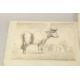 Early 19th Century English School. "Throwing Up His Majesty's Fox Hounds", Watercolour and ink, - Image 2 of 6