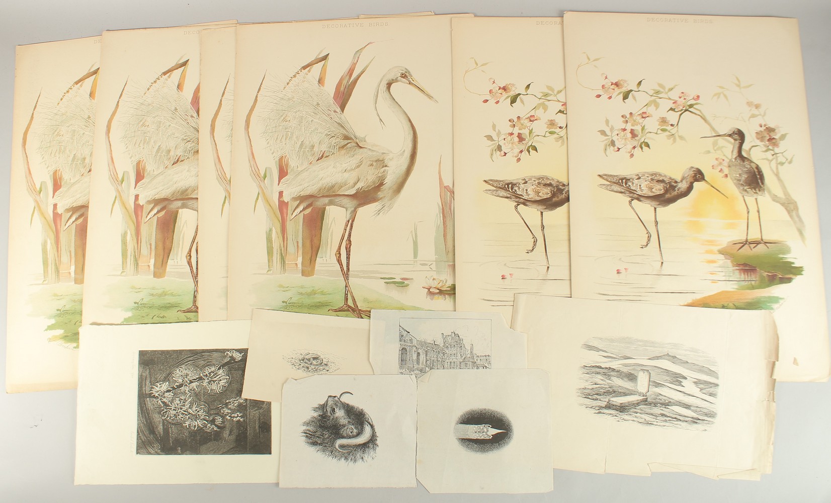 Rachel Roberts (20th Century) British. 'Epiphany Tree', etching, signed, inscribed, and numbered 2/