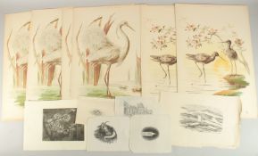 Rachel Roberts (20th Century) British. 'Epiphany Tree', etching, signed, inscribed, and numbered 2/