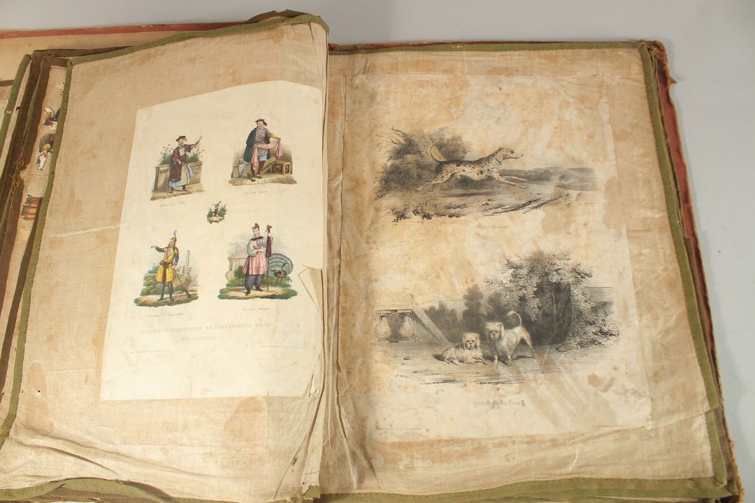 A LARGE VICTORIAN PICTURE BOOK. 21" x 8" (53 x 46cms). - Image 10 of 14