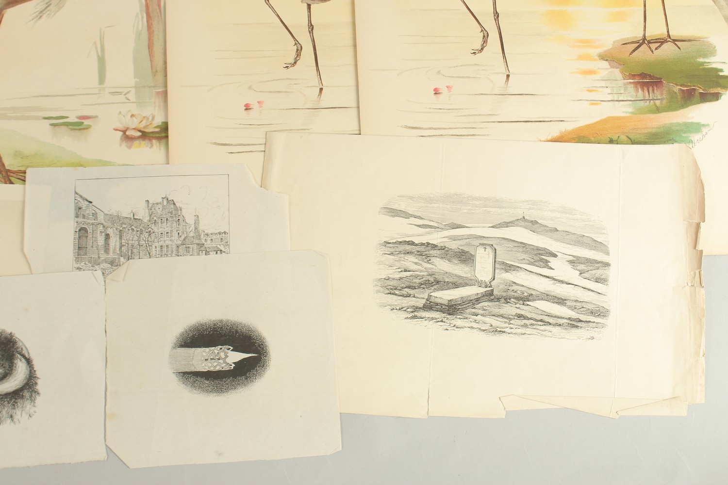 Rachel Roberts (20th Century) British. 'Epiphany Tree', etching, signed, inscribed, and numbered 2/ - Image 4 of 4