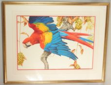 DAVID ORD KERR. A scarlet macaw on a fruiting vine, watercolour. Signed. 21