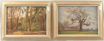 20TH CENTURY ENGLISH SCHOOL. A pair of woodland scenes, studies of trees, oil on board. 9.5