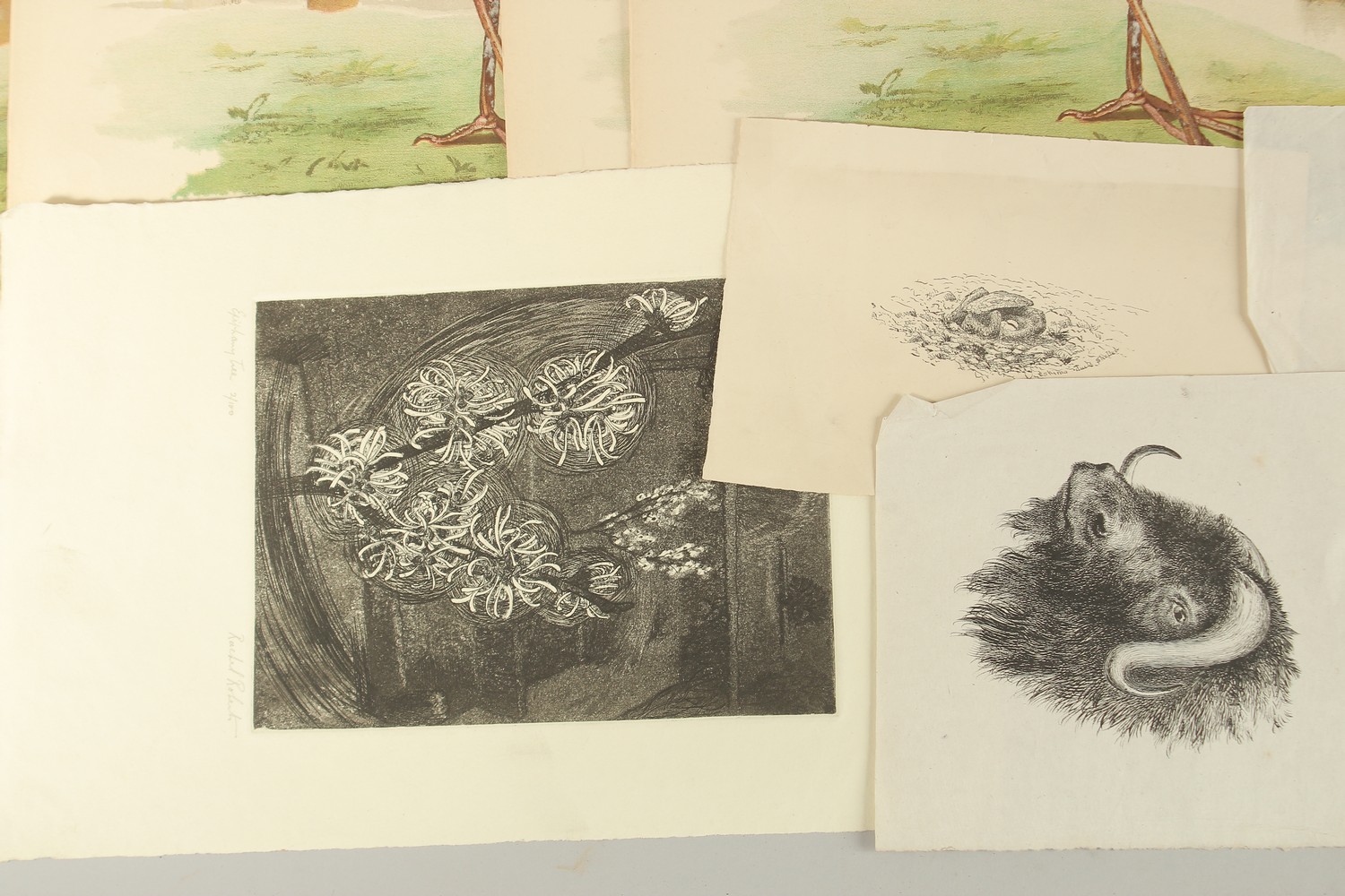 Rachel Roberts (20th Century) British. 'Epiphany Tree', etching, signed, inscribed, and numbered 2/ - Image 3 of 4
