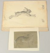 EARLY 19TH CENTURY ENGLISH SCHOOL. A Study of a Hare, pencil, unframed. 6