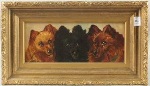 ENGLISH SCHOOL. Studies of three dog's heads, oil on board. 5.5