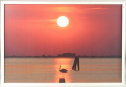 DORA BERTOLUTTI HOWARD (b. 1957) Heron at Sunset near Venice, canvas print. 23.75