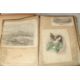 A LARGE VICTORIAN PICTURE BOOK. 21" x 8" (53 x 46cms). - Image 2 of 14
