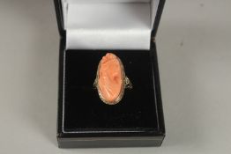 A GOLD CAMEO CORAL RING.