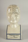 A POTTERY PHRENOLOGY HEAD. 16ins high.
