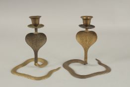A PAIR OF BRASS COBRA CANDLESTICKS. 17cms high.