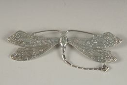 A SILVER DRAGONFLY BROOCH.