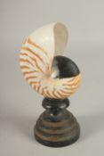 A NAUTILUS SPECIMEN on a wooden base. 4.5ins.