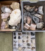 Fossil samples, fossil casts & rock samples