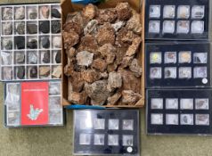 Coral samples, cased rock & mineral samples