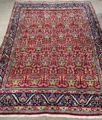Rich red ground Persian carpet with all over floral design with blue border 330cm by 240cm