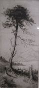 Framed original drypoint by J Alphege Brewer - 'The Lone Pine' - approx. 49.5cm x 25.5cm