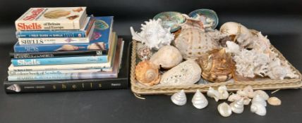 Selection of books on shells and a selection of shells & coral including conch & cowrie