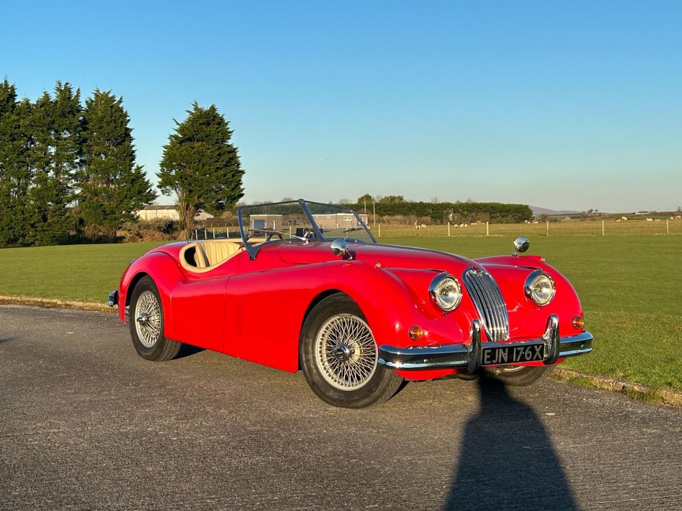 Modern Classic Cars