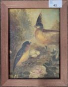 French School, circa 19th century, A pair of birds in a nest with eggs, oil on canvas backed on