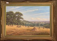 David Morgan (British, b.1947), Rural landscape, oil on canvas, signed, 49x74cm, framed