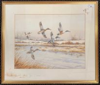 Simon Trinder (British, 20th century), Ducks alighting over winter marshland, signed, 36x46cm,