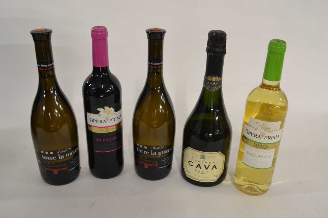 Mixed Spanish Red Wine, White and Cava Sparkling, 5 bottles
