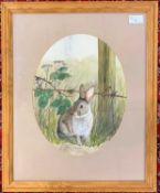 Andrew L. Howes (British, 20th century), Study of a Rabbit, watercolour, signed, 33.5x25cm, framed