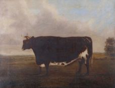 British School, 19th century, Steer study, oil on canvas (relined), unsigned, label on frame verso