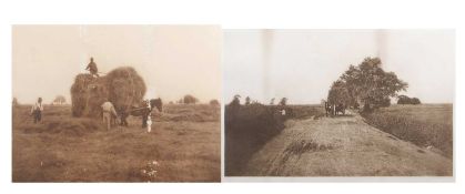 Peter Henry Emerson (1856-1936), 'Breezy Marshland', plate 9 from 'Idlylls of Norfolk Broads, 1887',