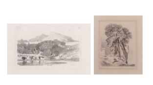 John Sell Cotman (1782-1842), 'North Wales' soft ground etching, no.21 in 'Liber Studiorum: A Series