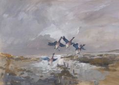 Jack Cox (1914-2007), Ducks alighting, watercolour and gouache, signed, 33.5x46cm, framed and