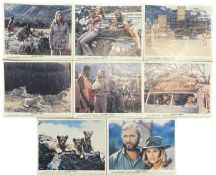 A set of 8 colour lobby cards for Living Free, the sequel to James Hill's 1966 British drama, Born