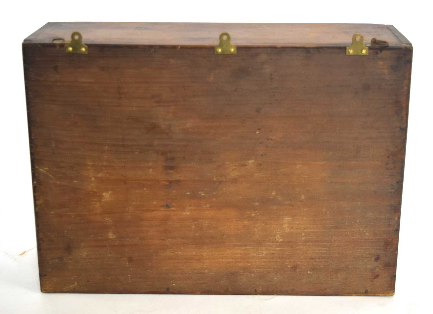 Late 19th /Early 20th century Taxidermy cased female Mallard Duck (Anas platyrhynchos). Set in - Image 2 of 4