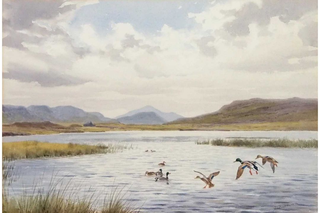John Cyril Harrison (1898-1985), Mallards dropping in, watercolour, signed, 33x46cm, framed and - Image 2 of 2