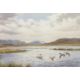 John Cyril Harrison (1898-1985), Mallards dropping in, watercolour, signed, 33x46cm, framed and - Image 2 of 2