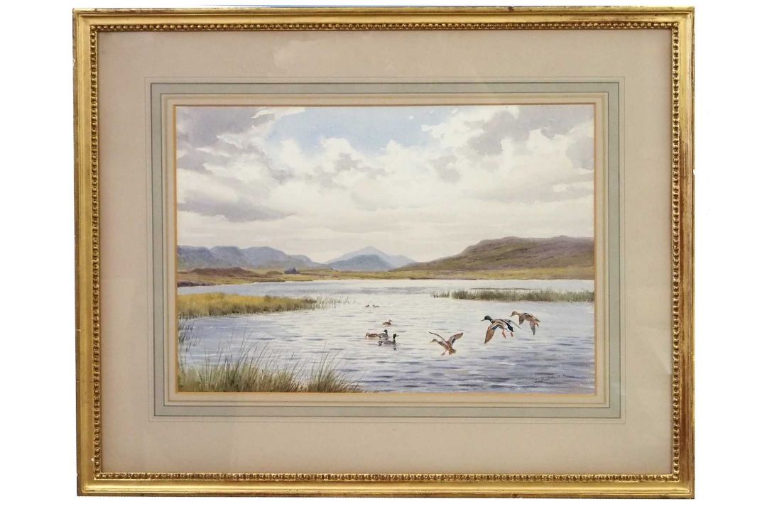 John Cyril Harrison (1898-1985), Mallards dropping in, watercolour, signed, 33x46cm, framed and - Image 1 of 2