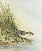 Andrew Osborne (British) Wagtail by the riverbank, watercolour, signed, approx.8.5x10ins, framed and