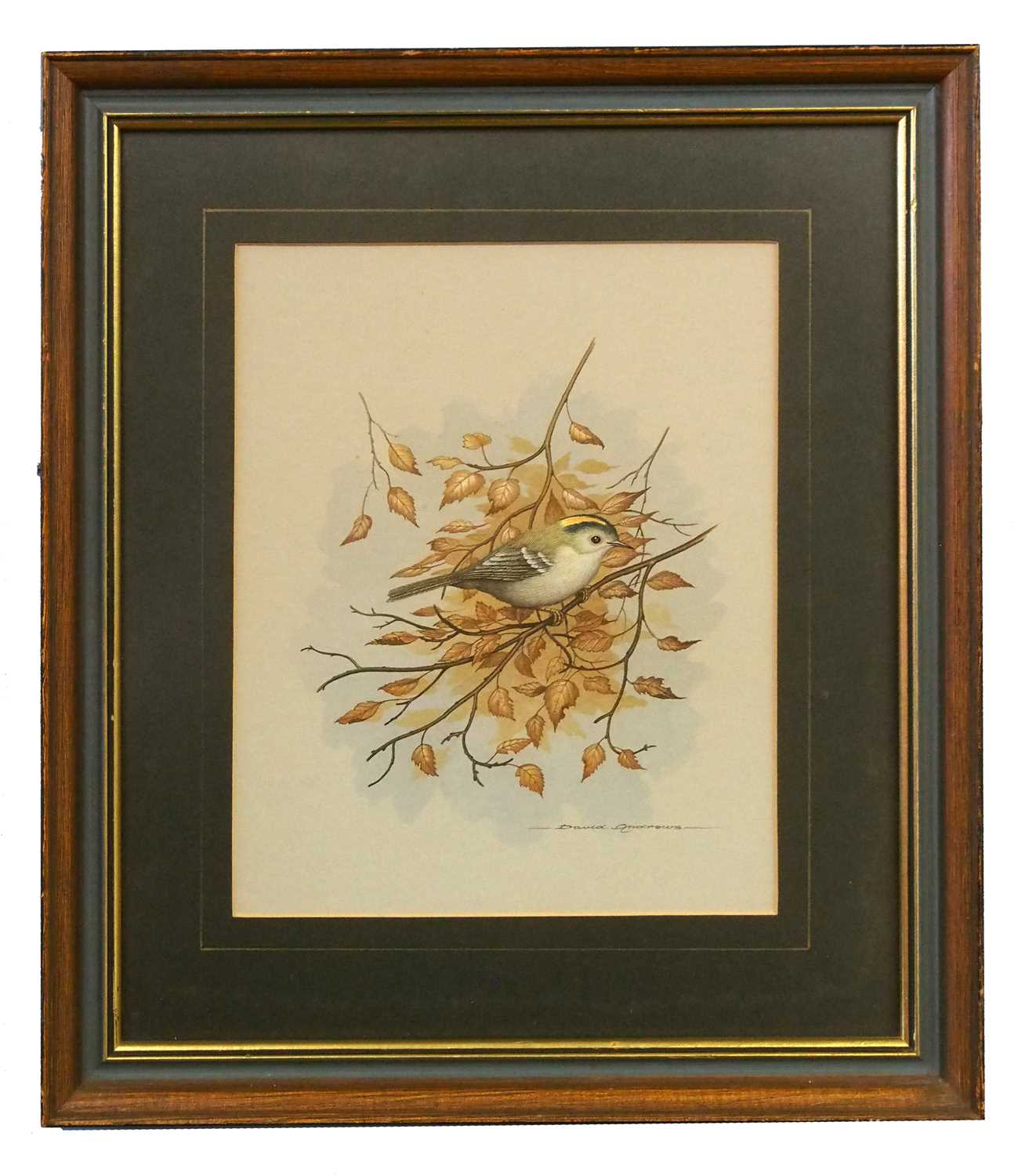 David Andrews (British, 20th century), studies of a Nuthatch, a Blackcap and a Stonechat, - Image 16 of 18