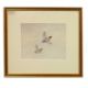 Philip Rickman (1891-1982), 'Pochard Ducks' , watercolour, signed and titled verso, 19x24cm, and - Image 4 of 5
