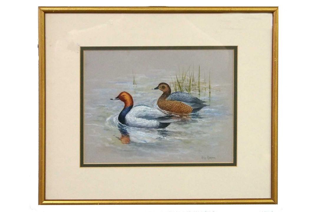 Philip Rickman (1891-1982), 'Pochard Ducks' , watercolour, signed and titled verso, 19x24cm, and - Image 2 of 5