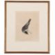 William Lewin (British,18th century), 'Black Cap Warbler' and 'Female Black Cap Warbler' hand - Image 5 of 5