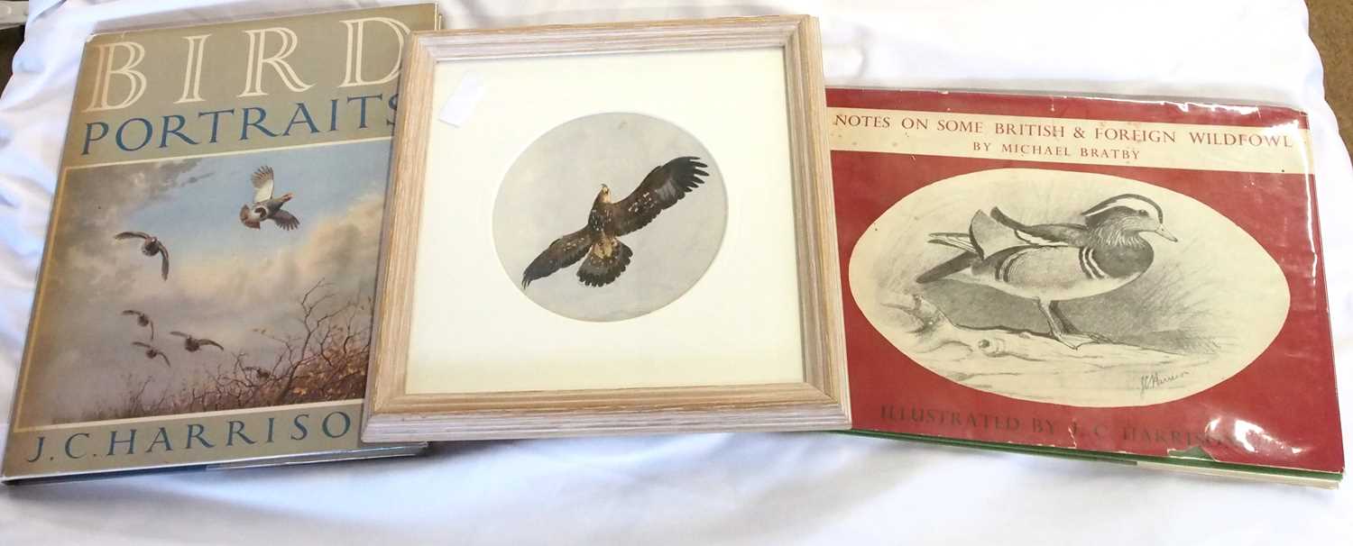 John Cyril Harrison (1898-1985), study of a Golden Eagle, watercolour, 13.5x13.5cm (round), with a