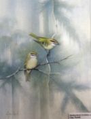 David F. England (British, 20th century), 'Firecrests', watercolour, signed, 33x25cm, unframed,
